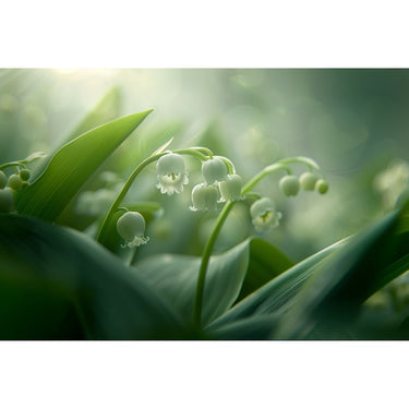 Green Flower Canvas